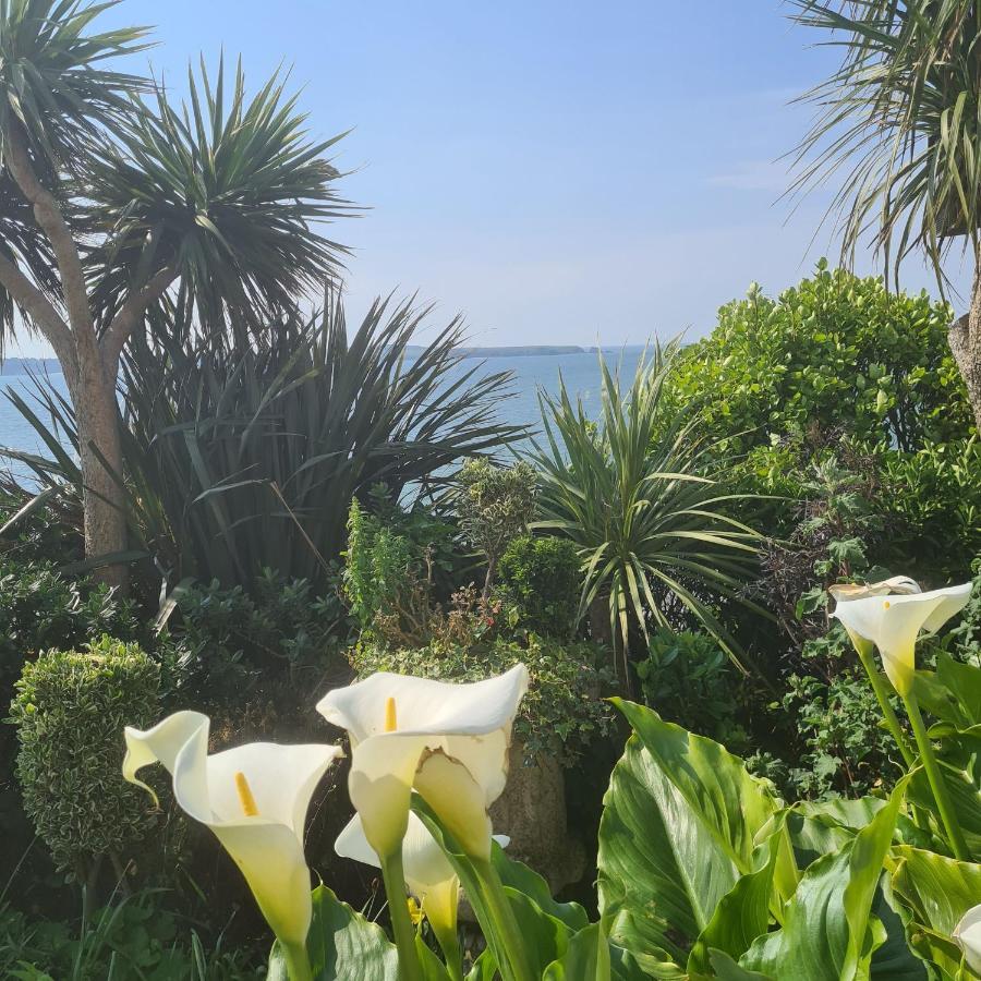 Beautiful 2 Bedroom Caravan, Holiday Park Tenby Saint Florence Екстериор снимка