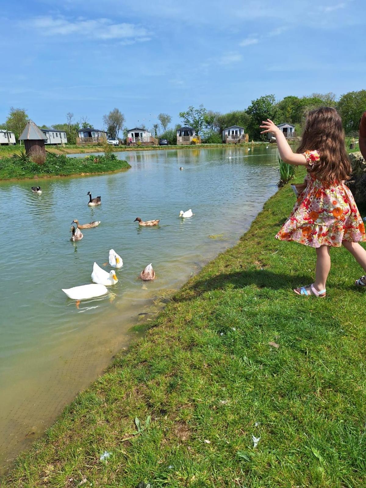 Beautiful 2 Bedroom Caravan, Holiday Park Tenby Saint Florence Екстериор снимка